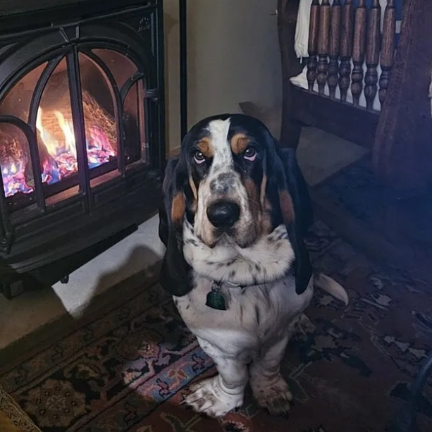 Forestport, NY $199,000 thumbnail