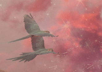 LECTURA DE AURA  thumbnail