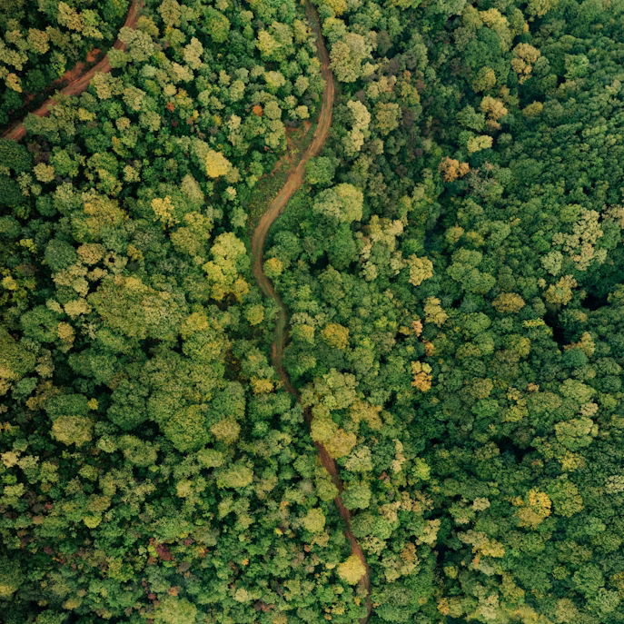 Registration: Sablewood Messengers thumbnail