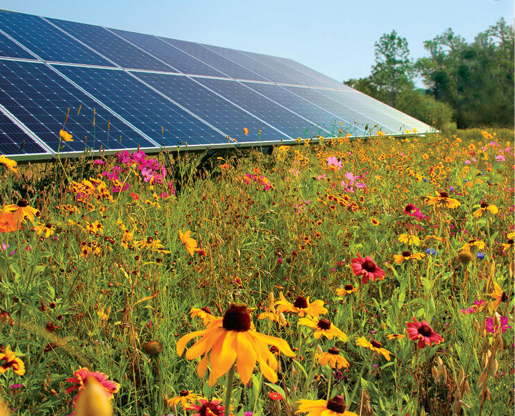 Missouri Needs All Forms of Energy – Say NO to SB 849 thumbnail