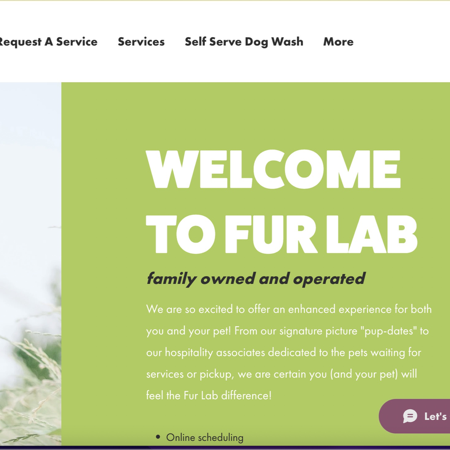 See My Recent Work - Fur Lab thumbnail