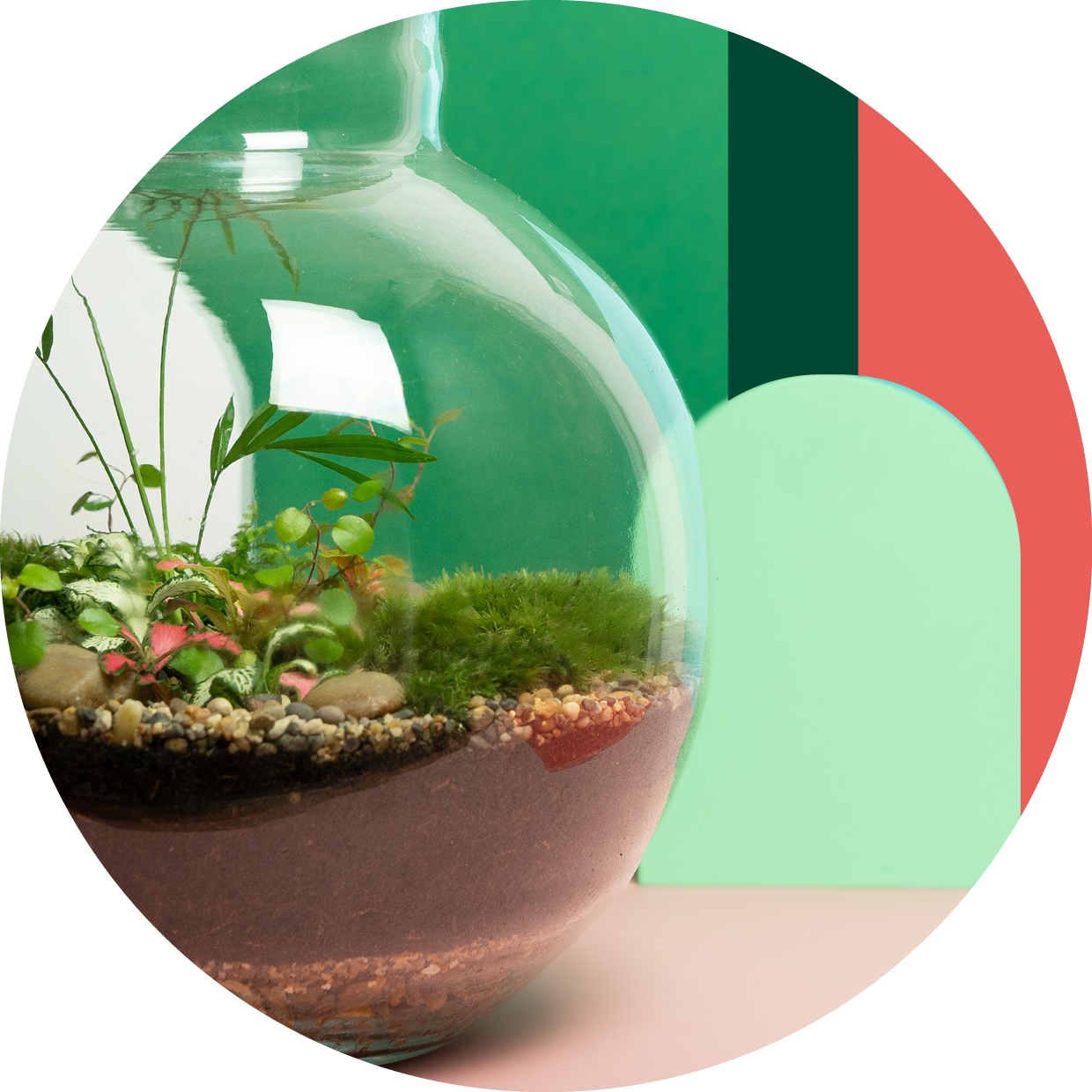 York Terrariums — Bio Site