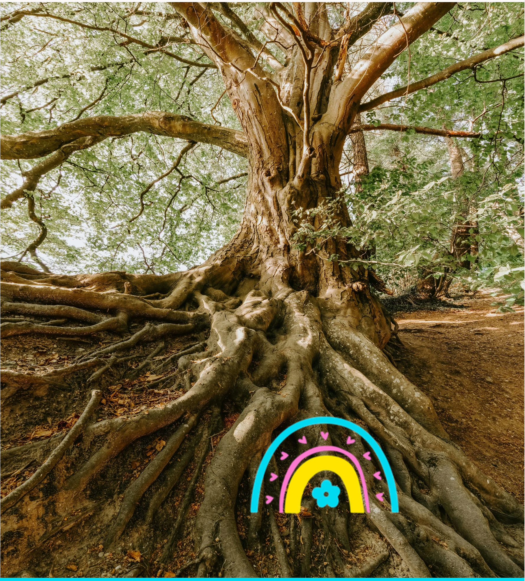 Functional Testing thumbnail