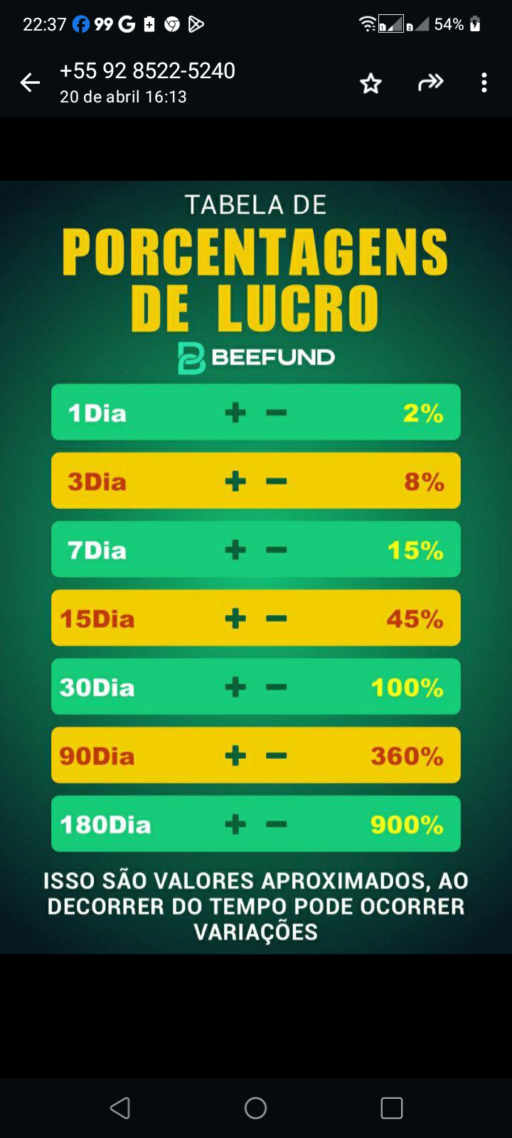 BEEFUND INVESTIMENTOS  thumbnail