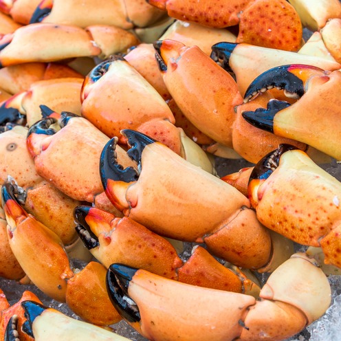 🦀 SEAFOOD SHOWCASE SALE & EVENT || 3/31-4/6 thumbnail