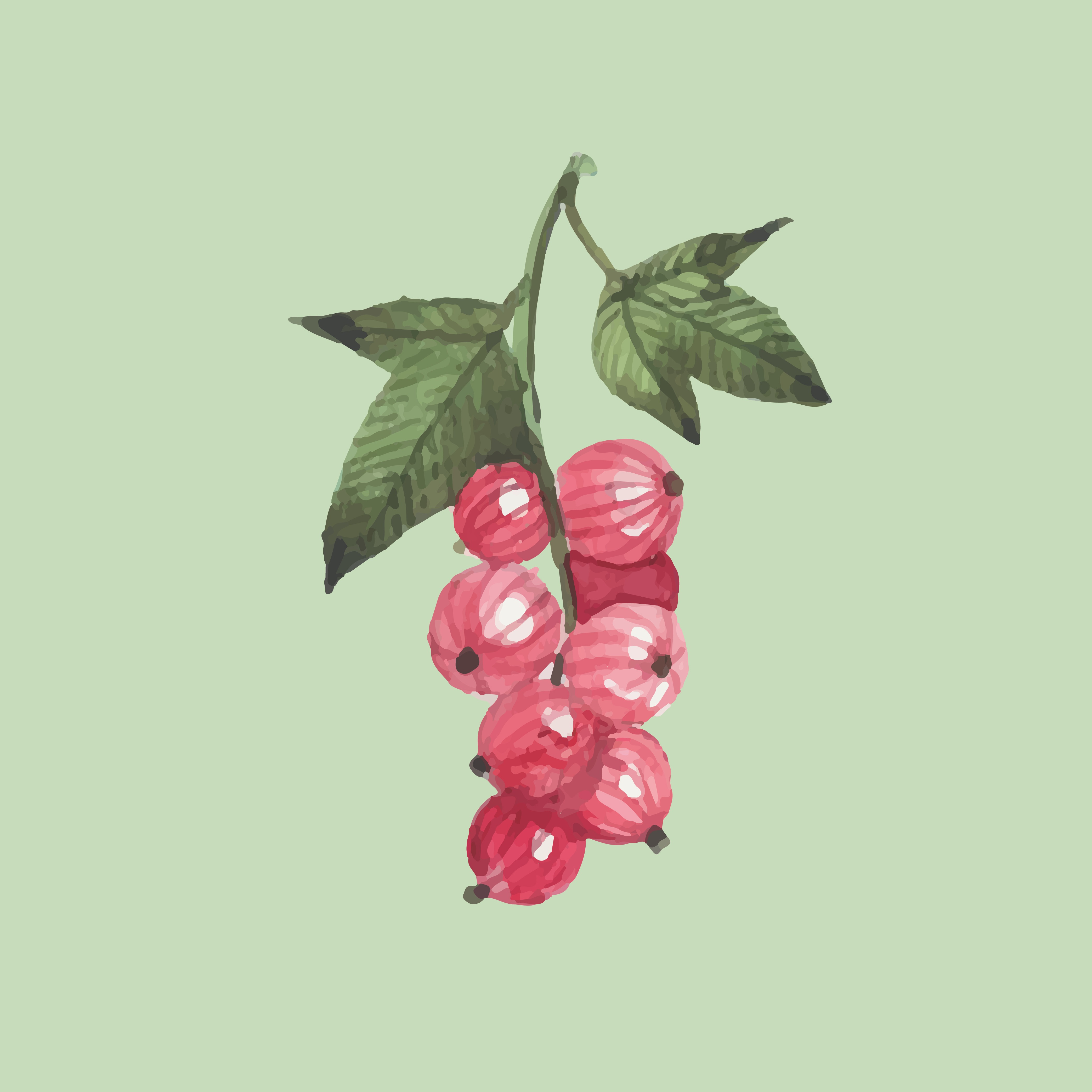 【成人皮疹分析測驗】了解自己所需產品 & 詳細不同程度護理教學  thumbnail