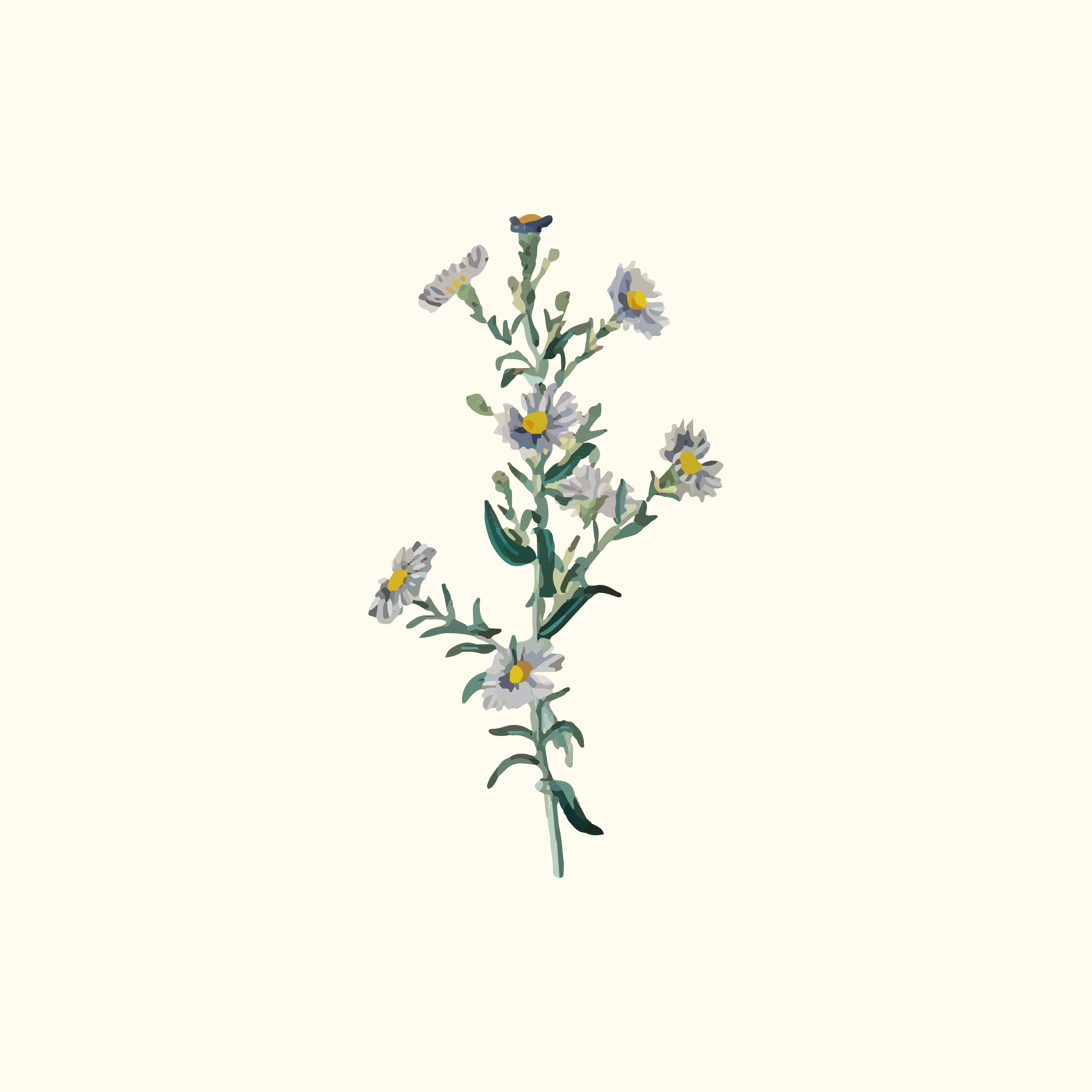 PayMe Business QR code thumbnail