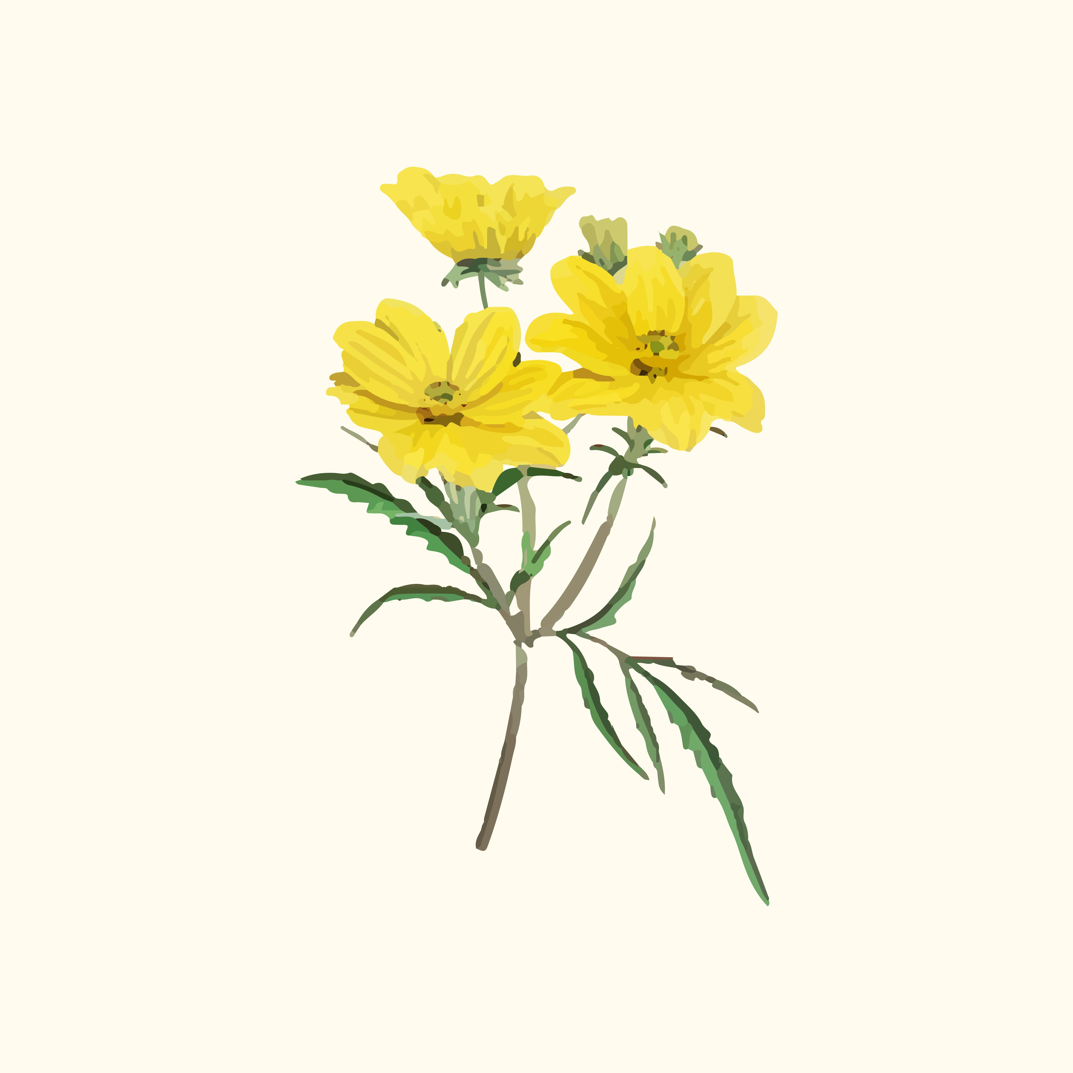 正常面部膚質分析 & 全套使用步驟 & 使用效果 thumbnail