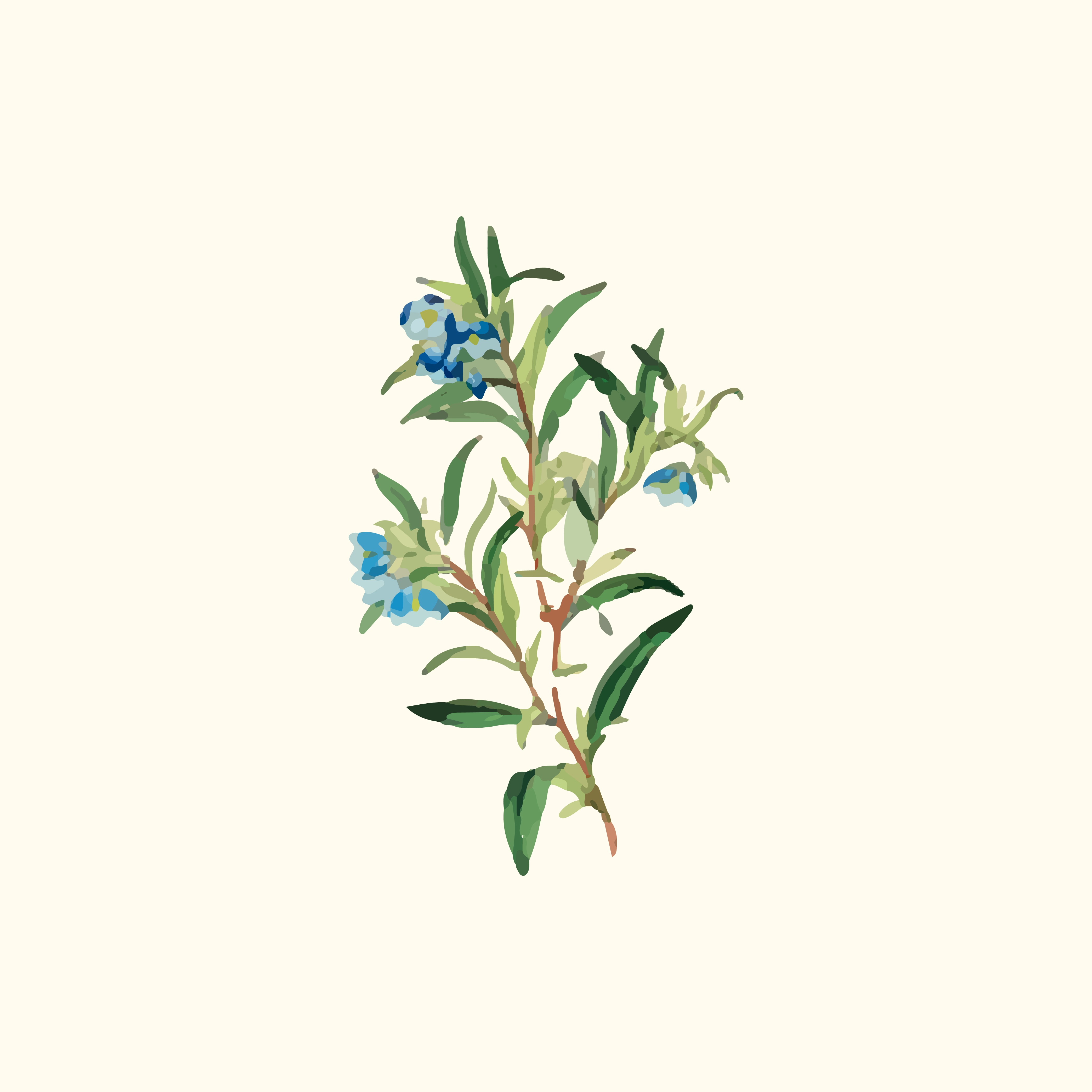 會員優惠 | 生日購物金 & 禮遇 thumbnail