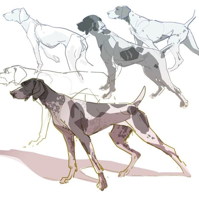 The Daily Paw Print Blog thumbnail