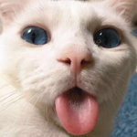Play game with me thumbnail