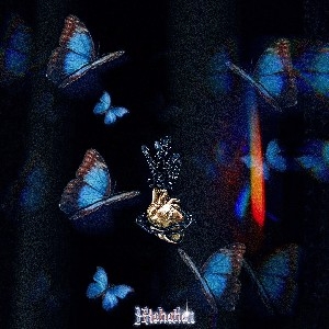 Cover Artwork titled "butterflies" thumbnail