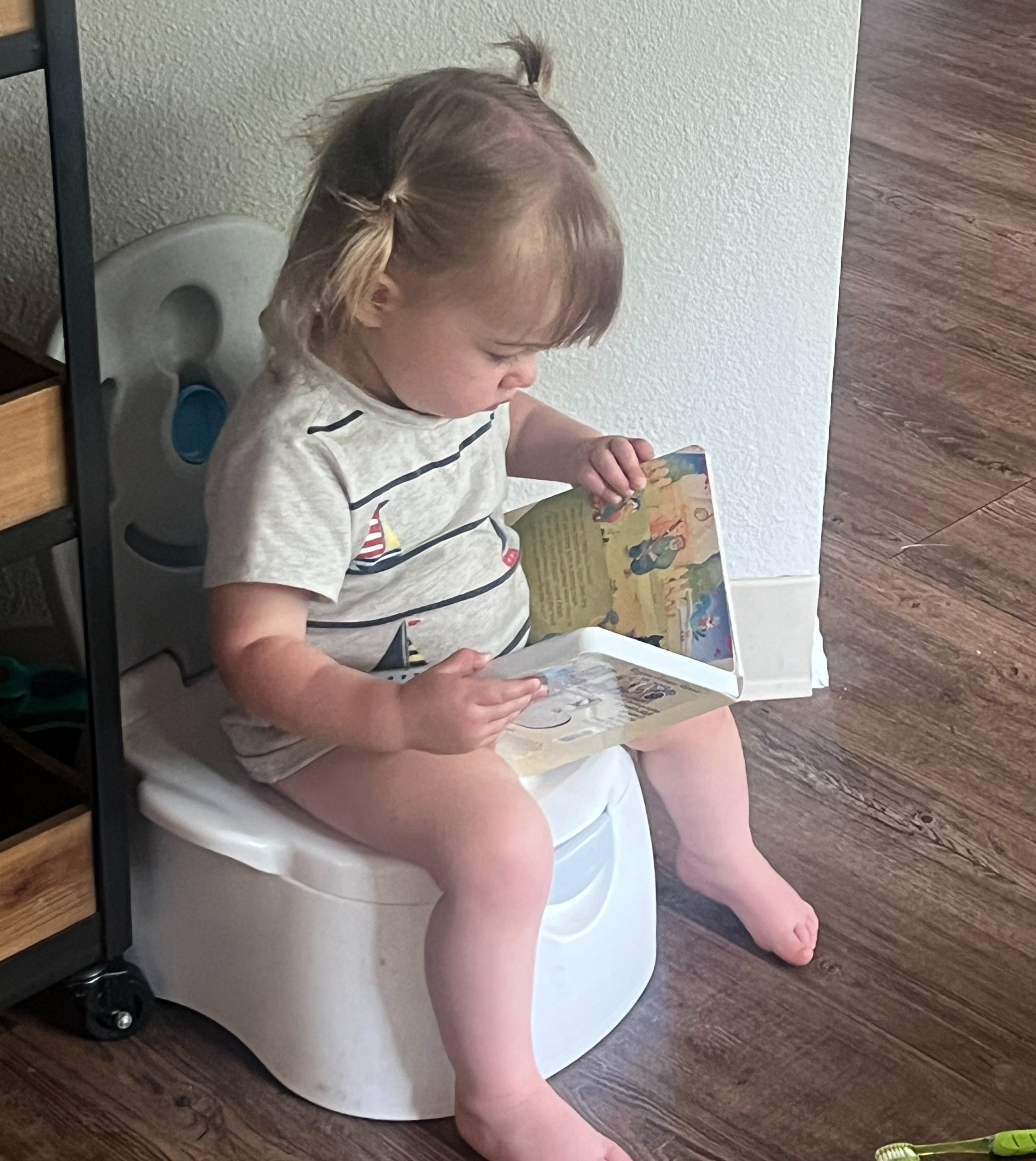 Primal Potty Training Workshop with Annie Adamson - IN PERSON thumbnail