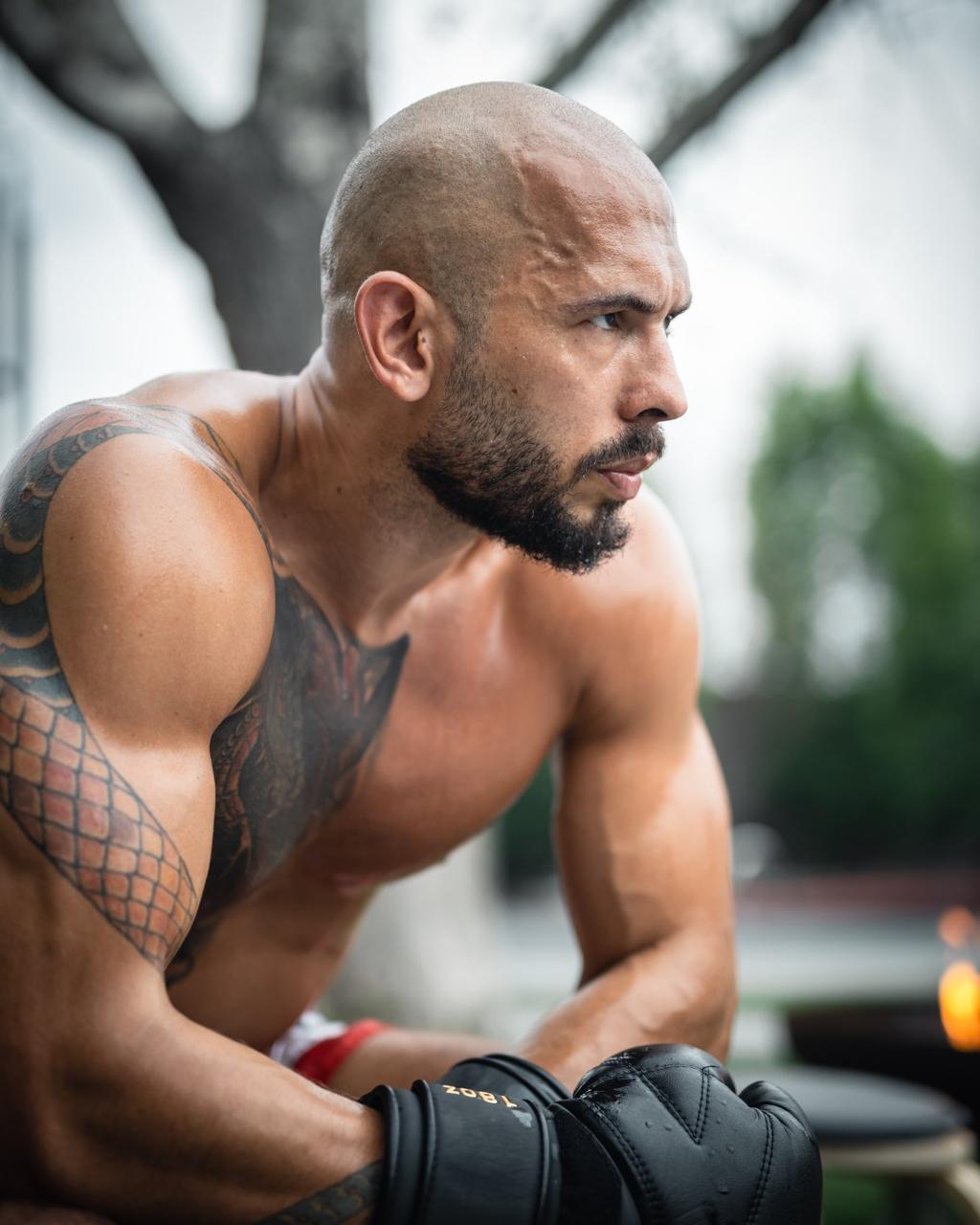 CURSO ANDREW TATE 100% TRADUZIDO thumbnail