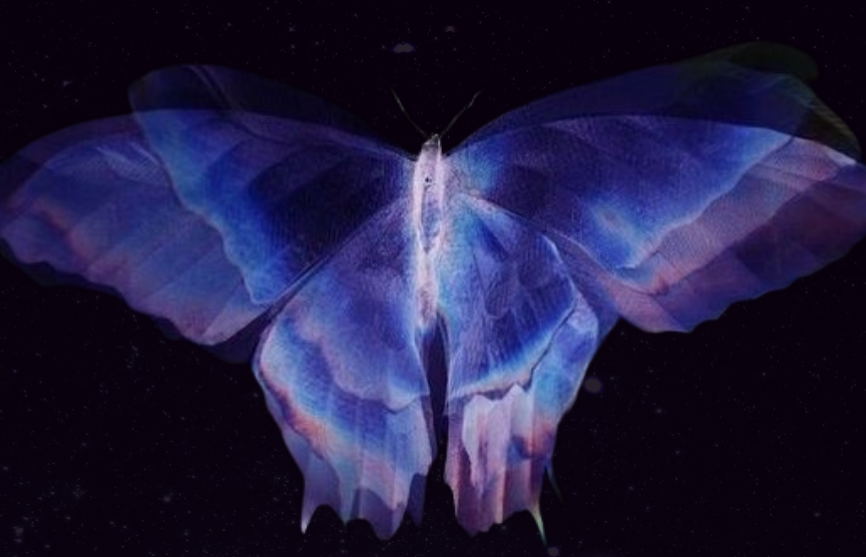 Patreon ⋆ ཐི༏ཋྀ ˚࿔ thumbnail