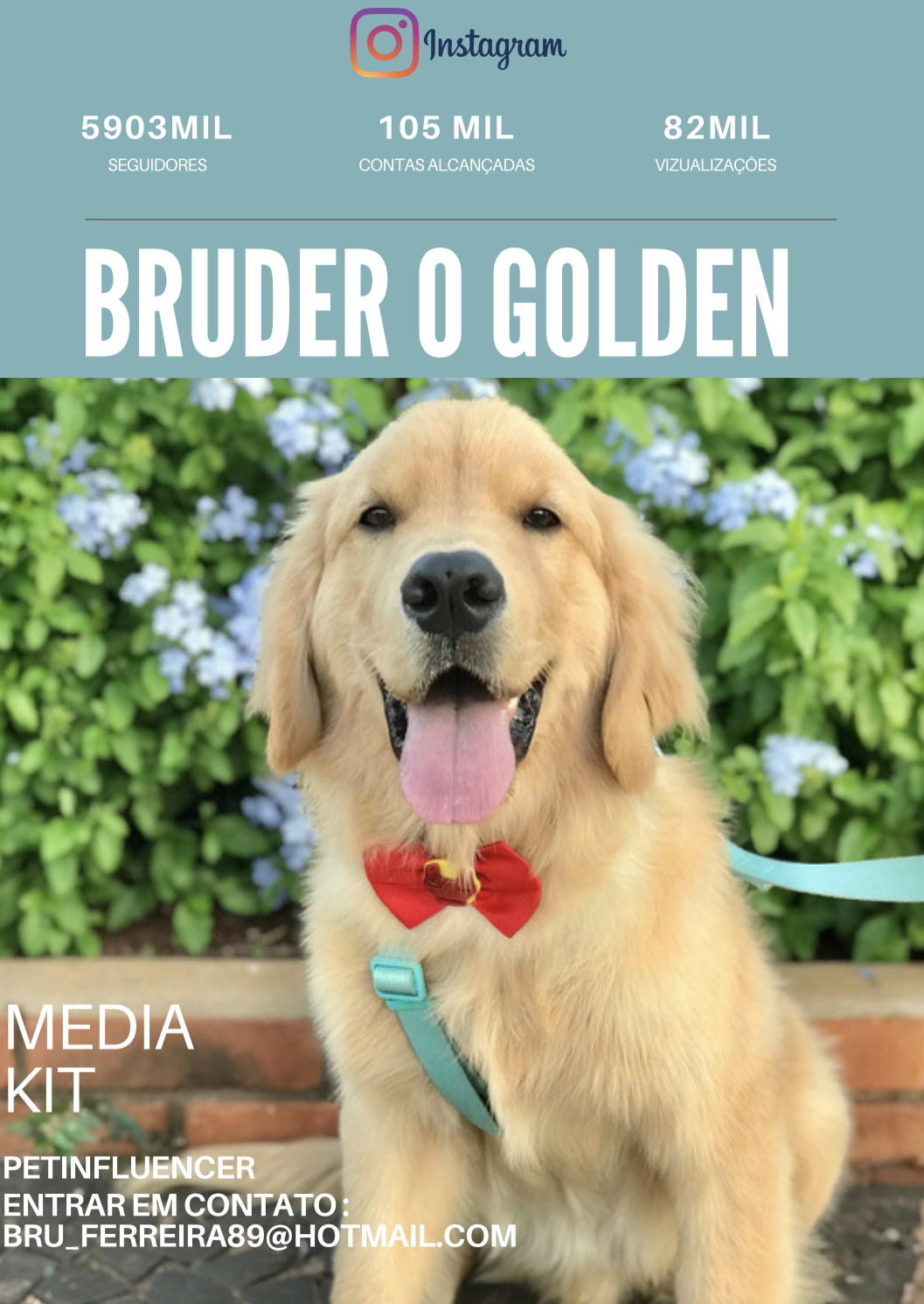 Mídia Kit Bruder  thumbnail