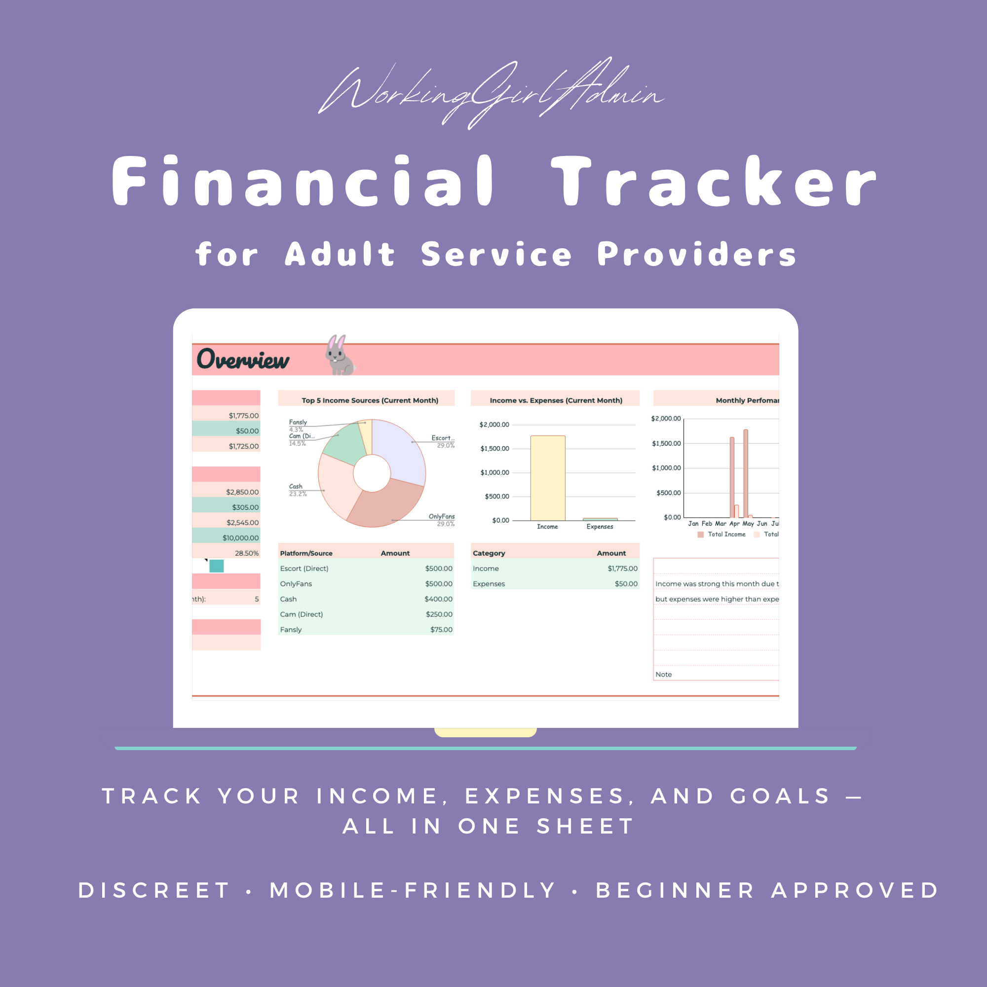 Financial Overview Spreadsheet on Etsy thumbnail