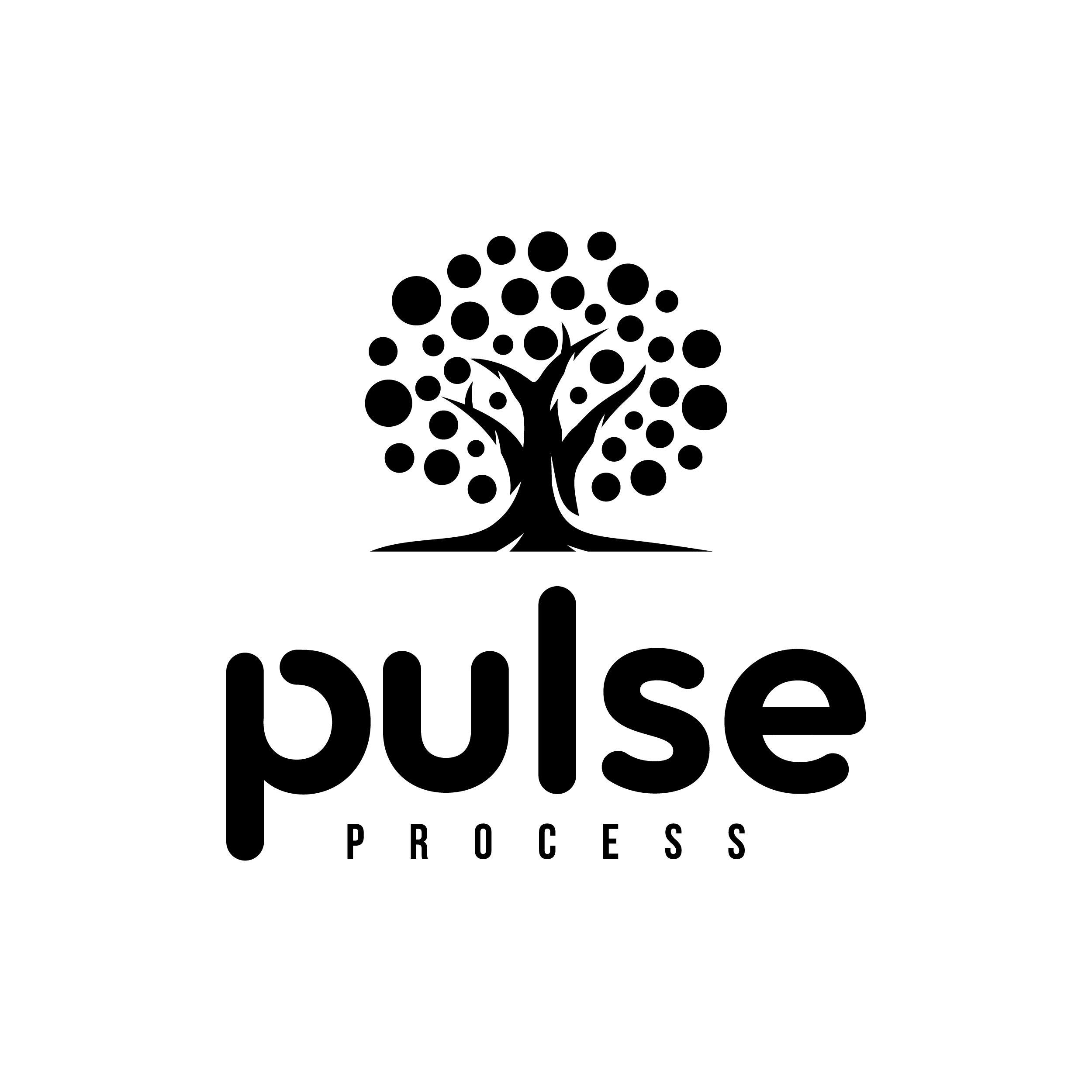 Pulse Process Consulting thumbnail
