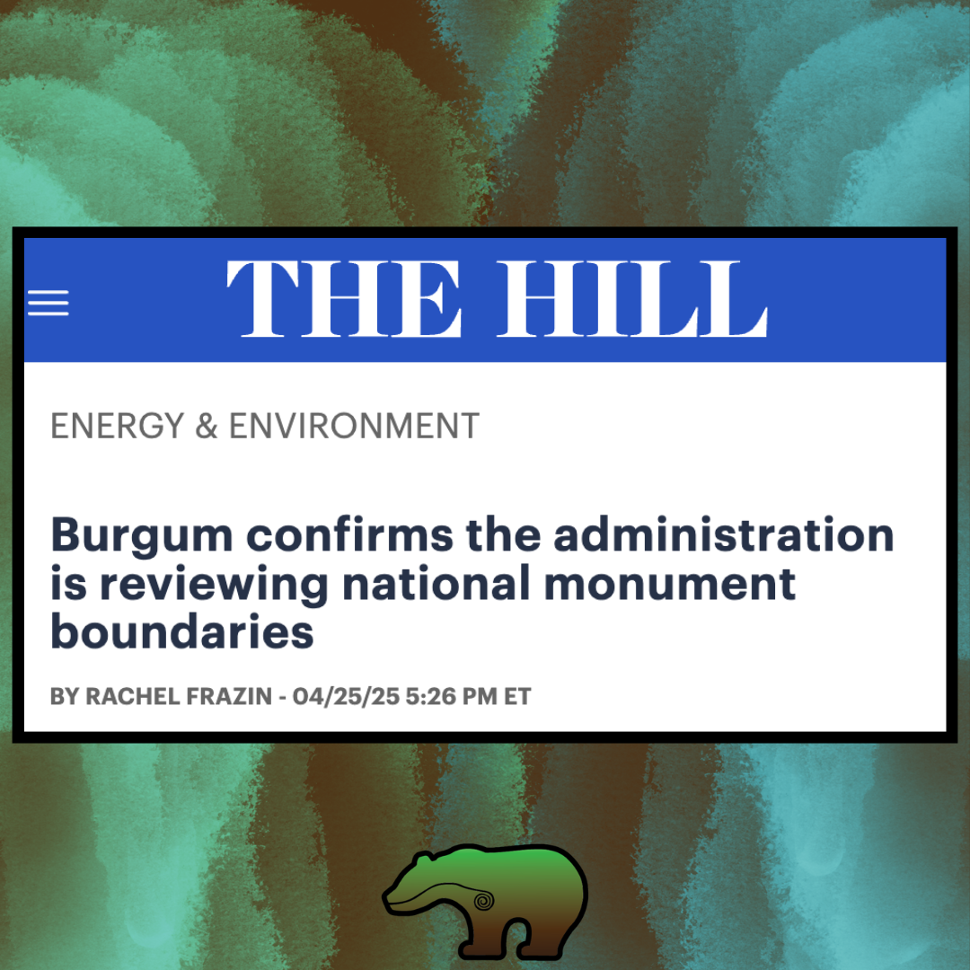 Bears Easrs NM under review  thumbnail