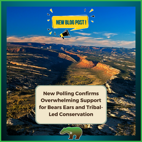 New Polling Confirms Overwhelming Support for Bears Ears and Tribal-Led Conservation thumbnail