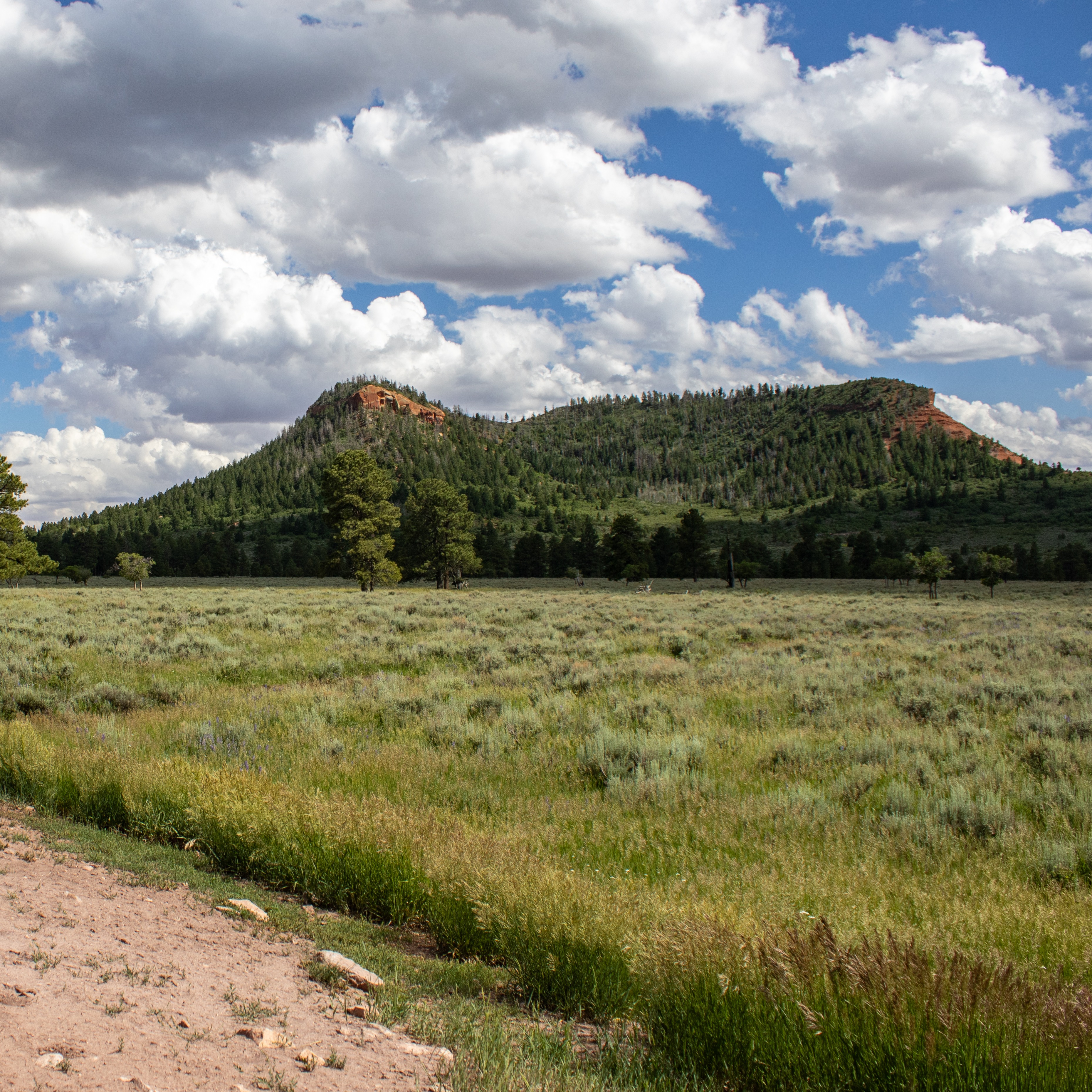 Sign up for our newsletter here thumbnail