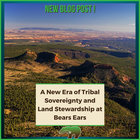 A New Era of Tribal Sovereignty and Land Stewardship at Bears Ears thumbnail