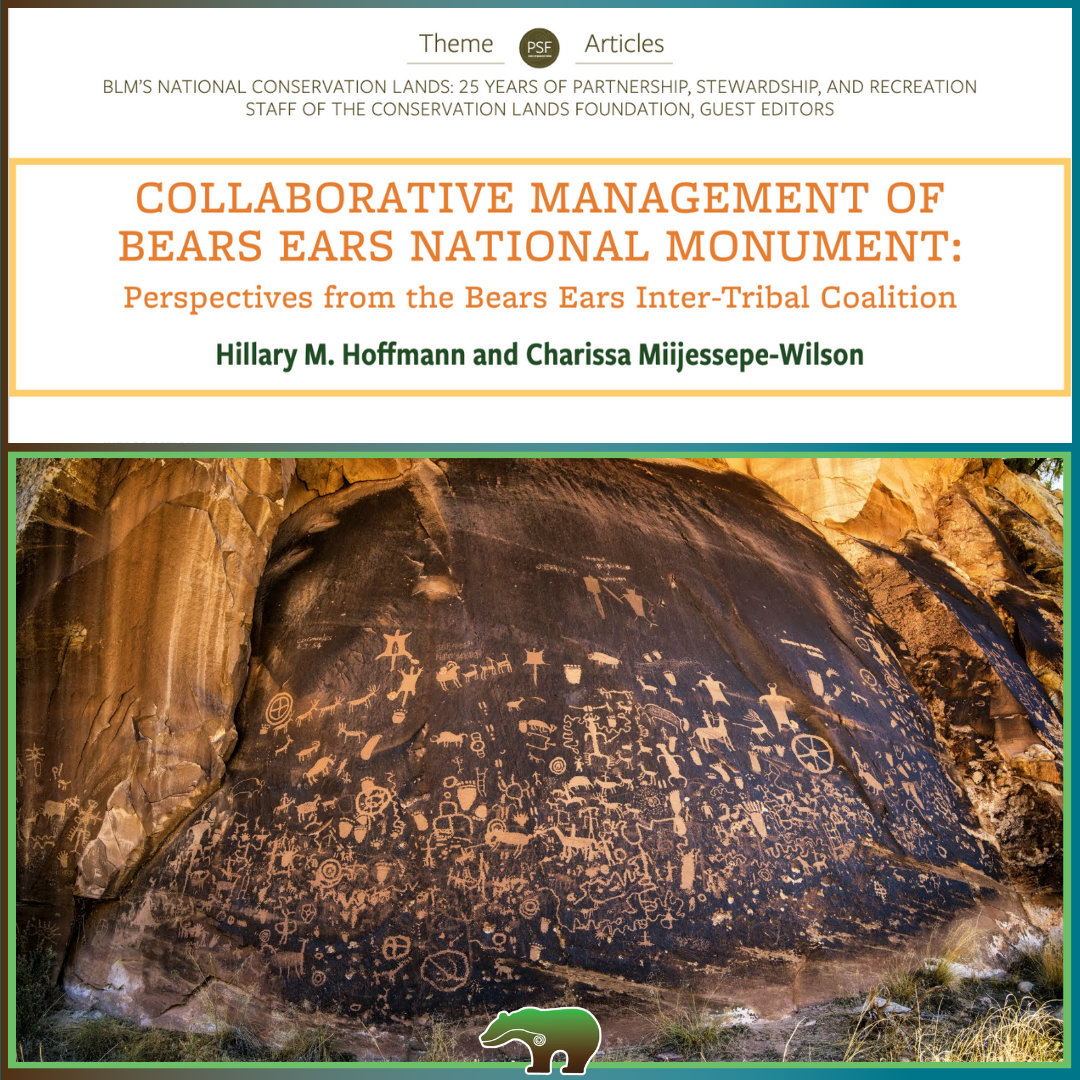 Collaborative Management of Bears Ears National Monument: Perspectives from the Bears Ears Inter-Tribal Coalition thumbnail