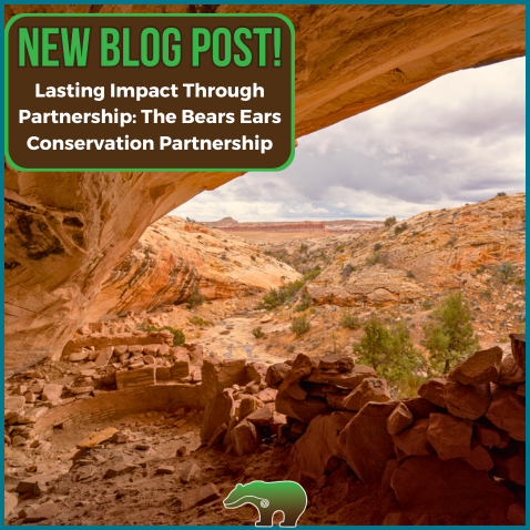 Lasting Impact Through Partnership: The Bears Ears Conservation Partnership thumbnail