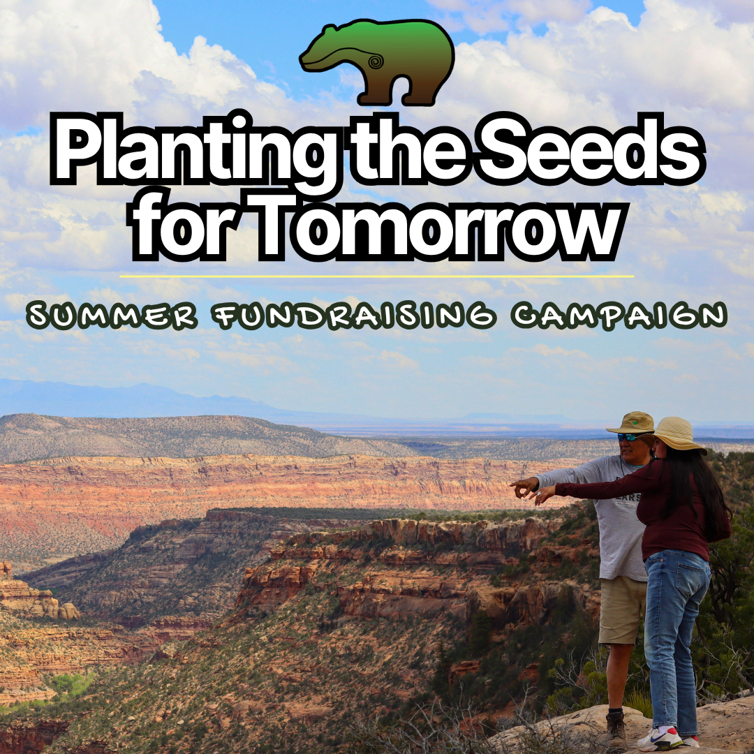 Support the Tribes' work today!  thumbnail