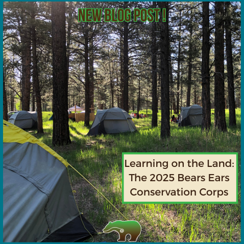 Learning on the Land: The 2025 Bears Ears Conservation Corps  thumbnail