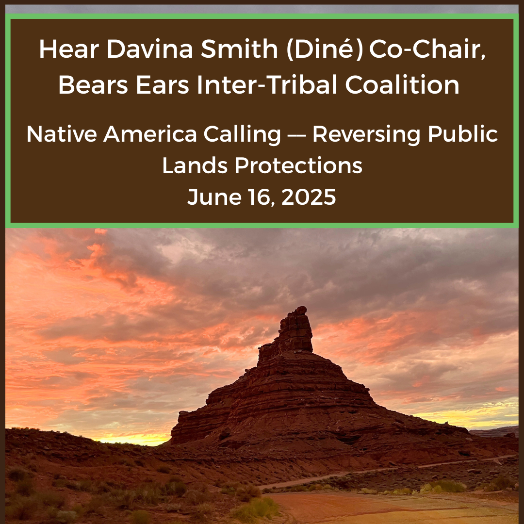 Native America Calling thumbnail