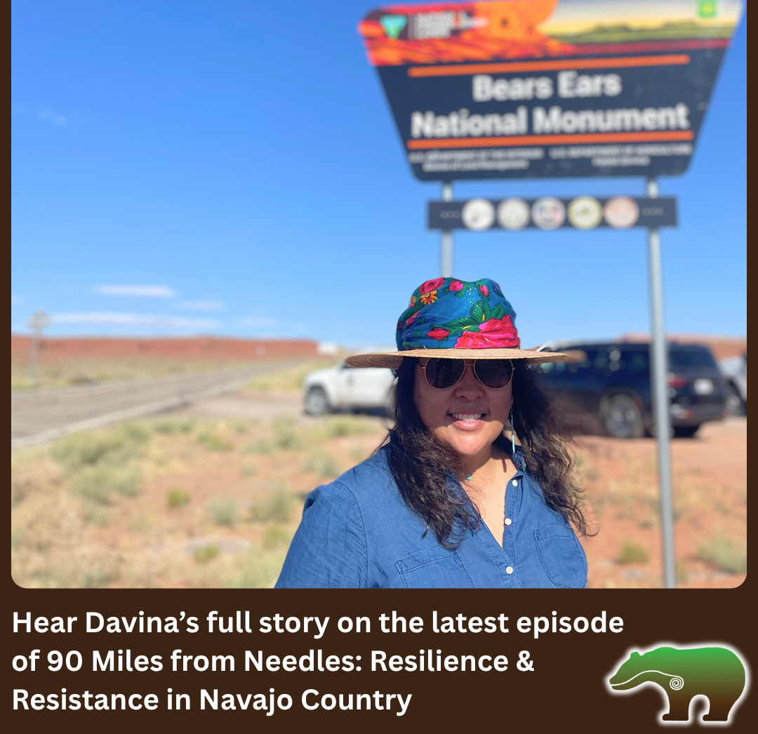 Resilience & Resistance in Navajo Country thumbnail