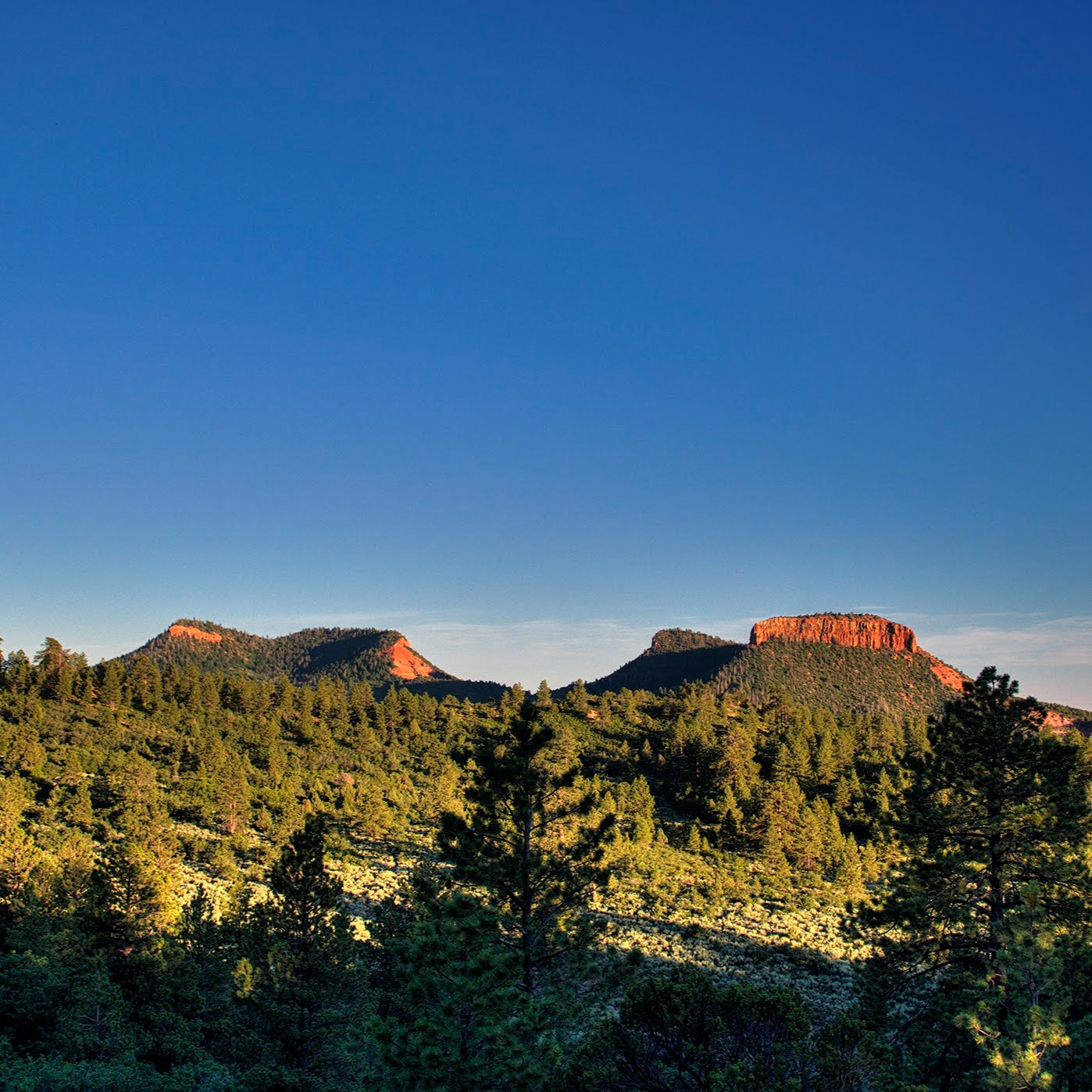 Celebrating a Decade of the Bears Ears Inter-Tribal Coalition thumbnail