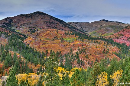 Preparing Future Leaders to Care for Bears Ears - Bears Ears Inter-Tribal Coalition thumbnail