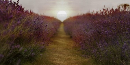 My website thumbnail