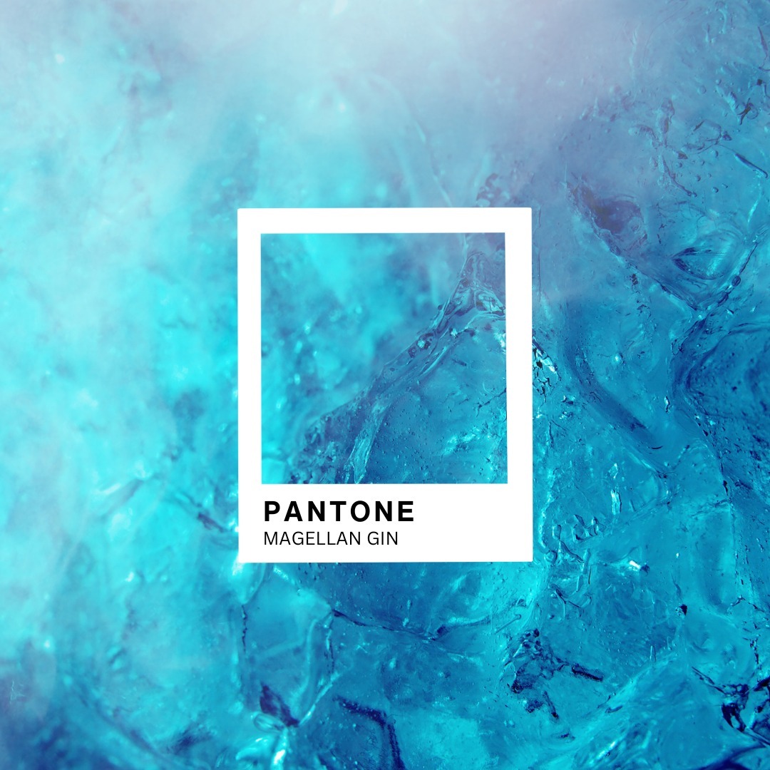 Pantone #MagellanGin