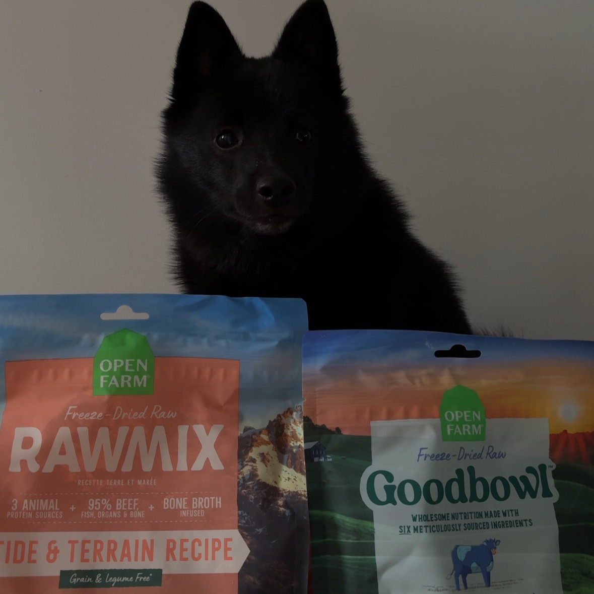 OPEN FARM | Ethically Sourced and Humanely Raised Dog & Cat Food. MOCHI15 thumbnail