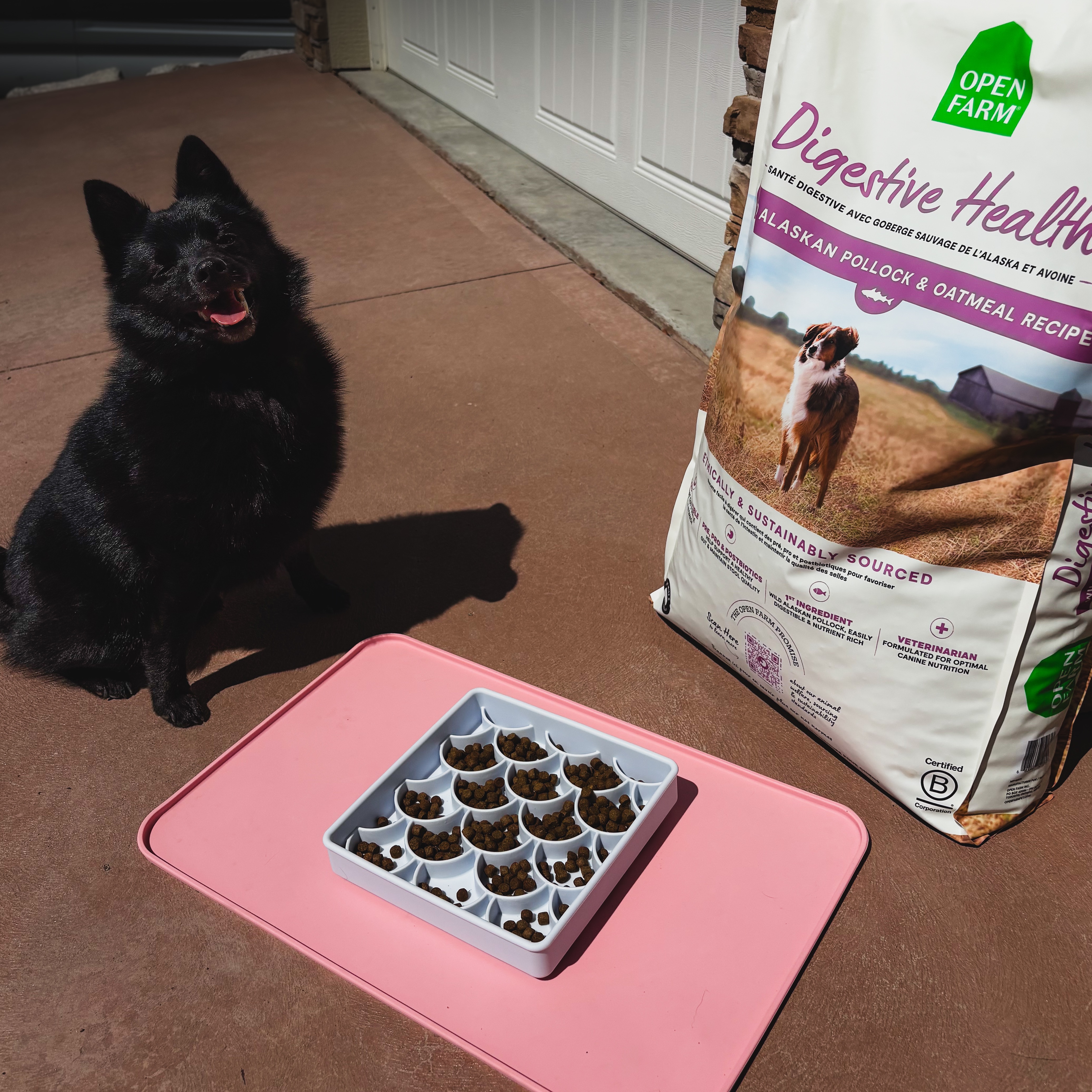 Open Farm • MOCHI thumbnail