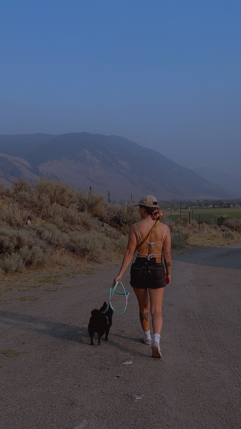 Walking a Soot Sprite in the South Okanagan. 

💚💛🩷 @maogoublue.co gifted Marshmallow leash. 
🏷️MOCHI10 for 10% off 

#sc