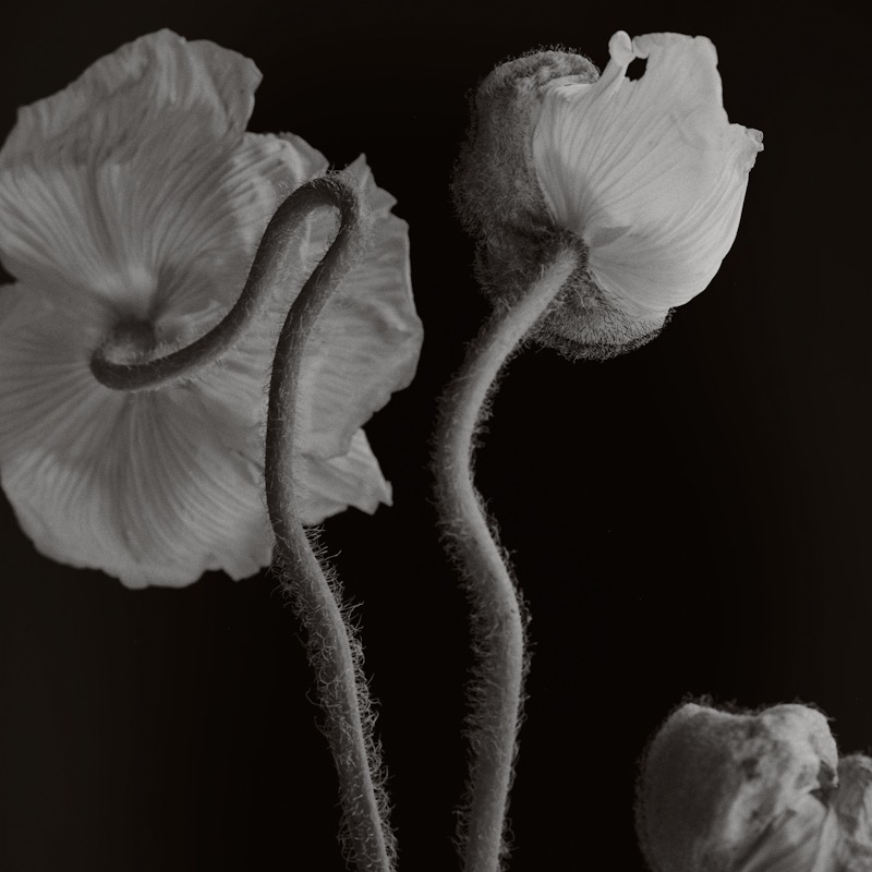 GRAVITY the retreat 2026 waitlist thumbnail