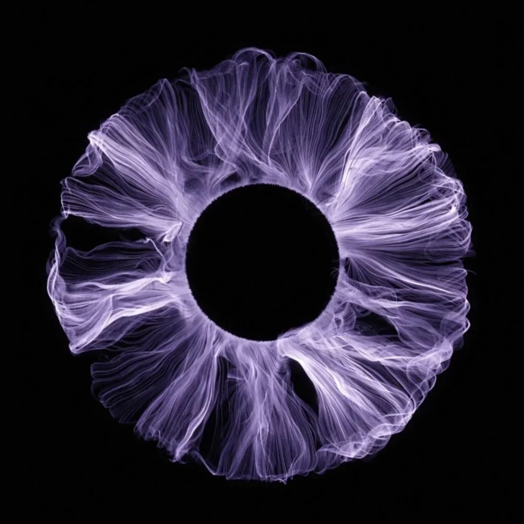 VictoriaDeiorio.com thumbnail