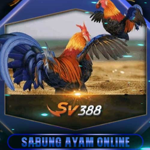 SABUNG AYAM SV388 thumbnail