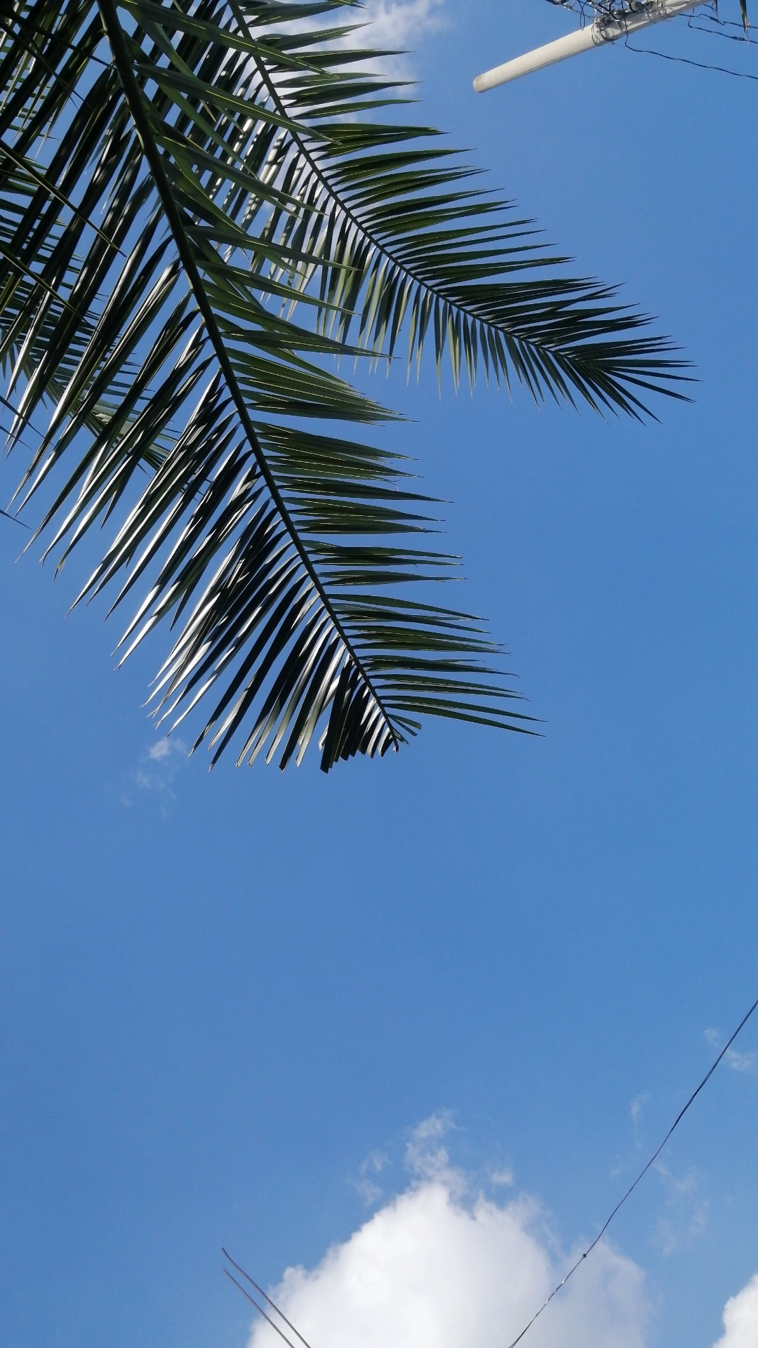 BioSite profile picture for @Viajes