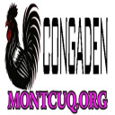 @congadenmont · CONGADEN | TRỰC TIẾP ĐÁ GÀ THOMO CPC1, CPC2, CPC3 thumbnail