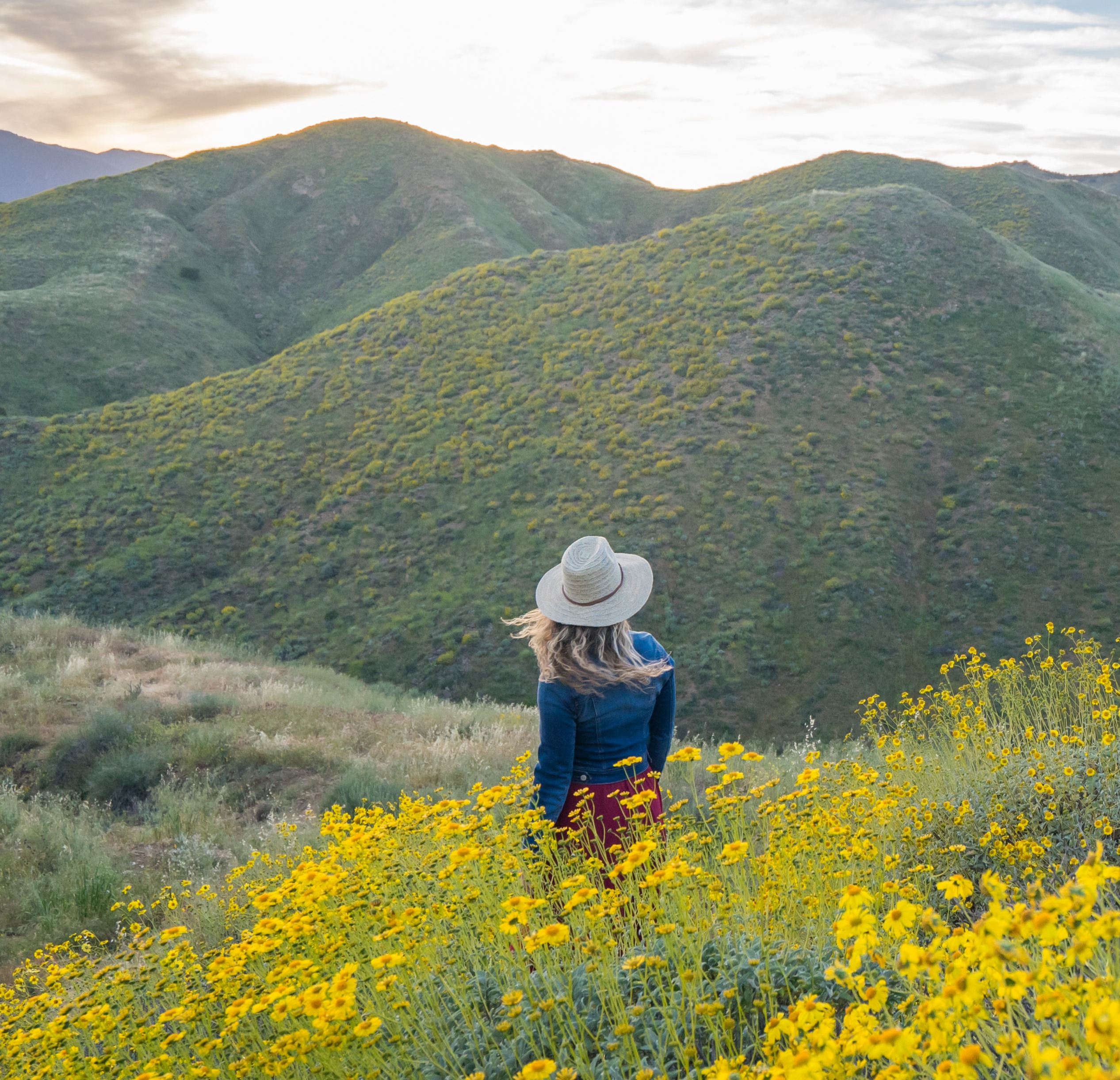 Sign Up For My FREE Newsletter thumbnail