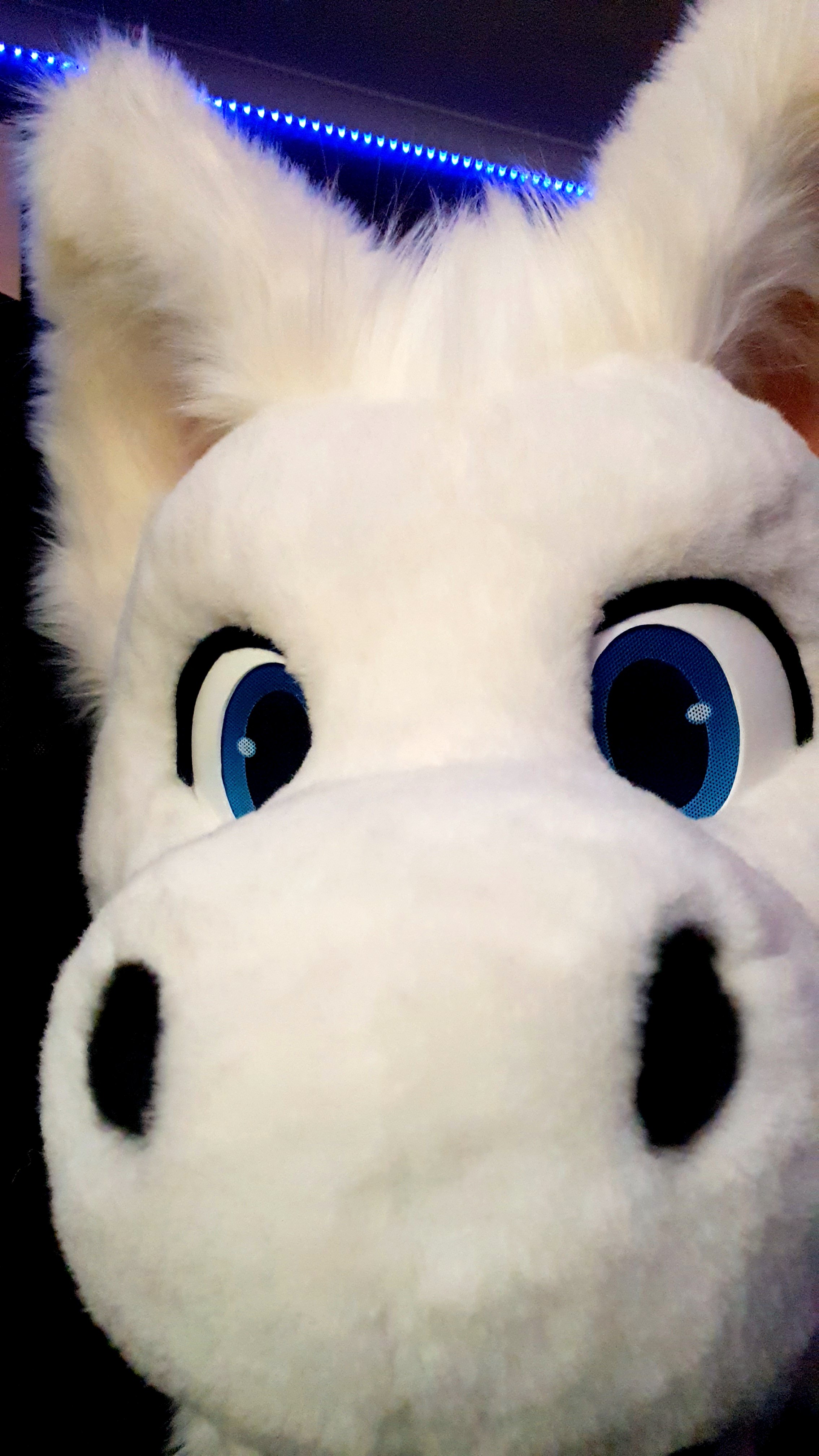Fursuit maker - FarukuCreations thumbnail