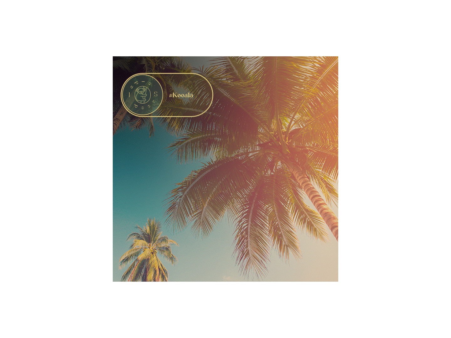 Coast Network | Media Tourists thumbnail