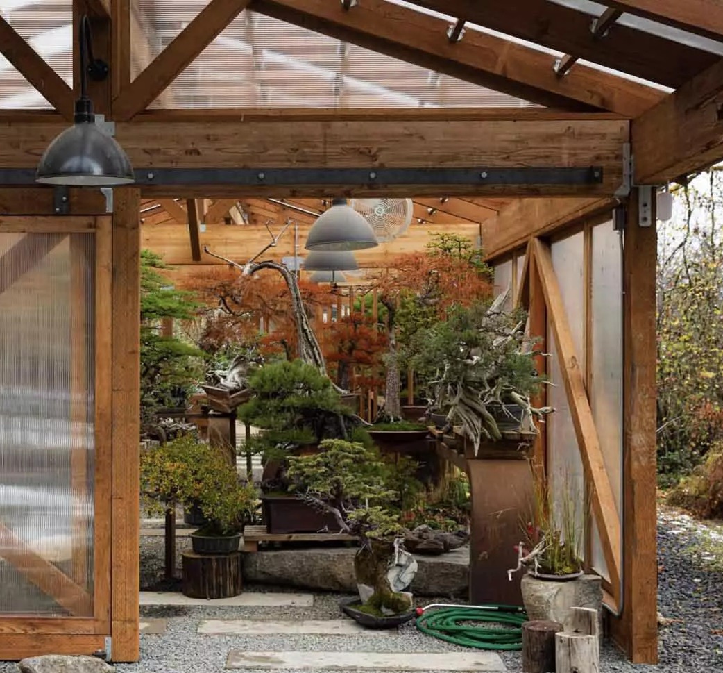 Bonsai Mirai Blog  thumbnail