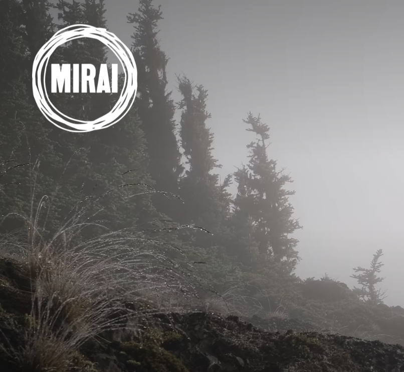 Mirai Goods: Bonsai Tools + Supplies  thumbnail