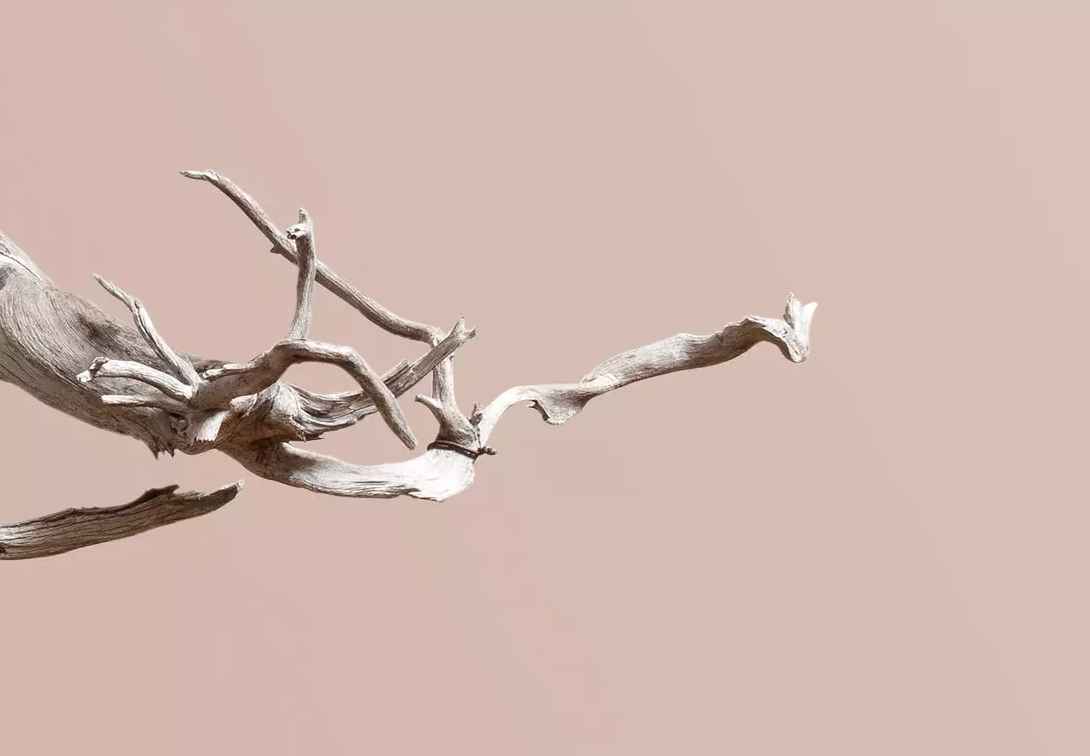 Asymmetry Podcast  thumbnail